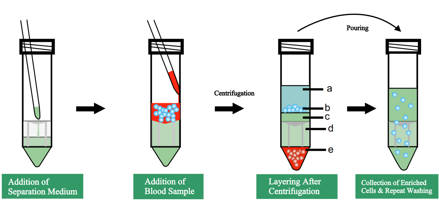 PBMC Separation Tube-Peripheral Blood Lymphocyte Separation – Smtrabio