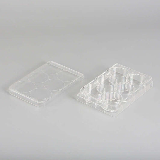 6 wells Cell culture plate/Case