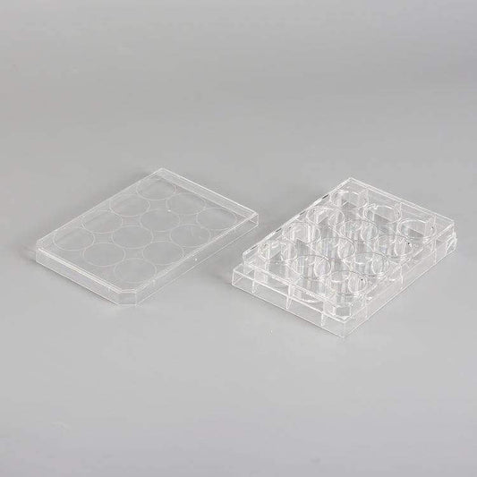 12 wells Cell culture plate/Case