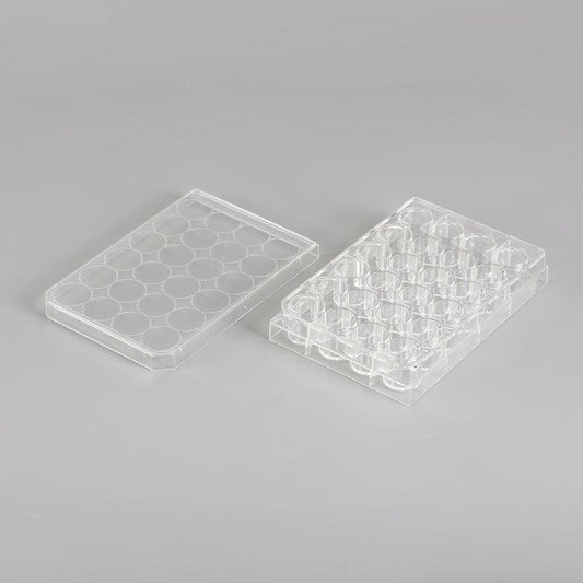 24 wells Cell culture plate/Case